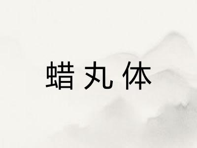 蜡丸体