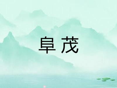 阜茂