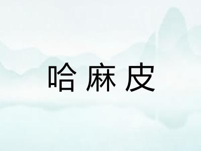哈麻皮