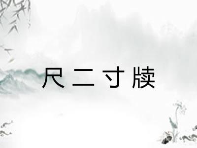 尺二寸牍