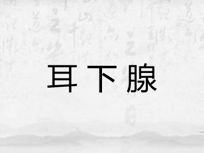 耳下腺