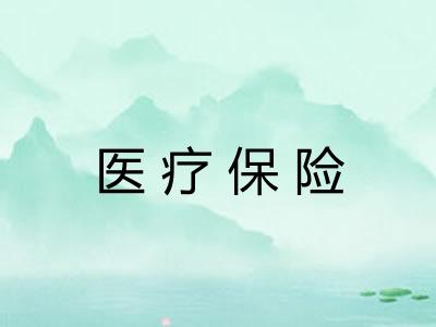 医疗保险