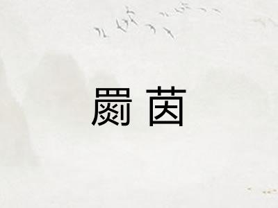 罽茵