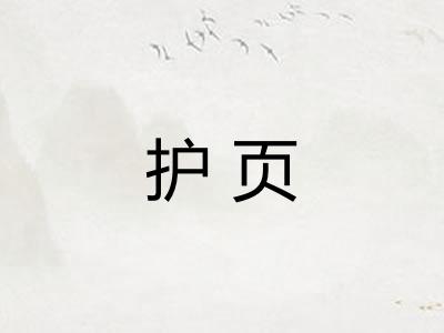 护页