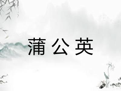 蒲公英