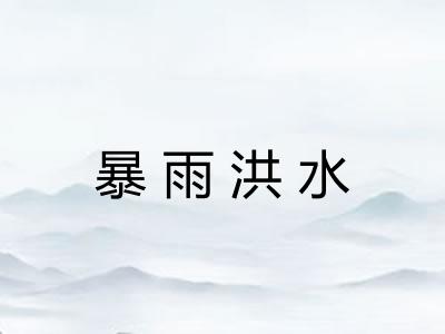 暴雨洪水