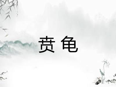 贲龟