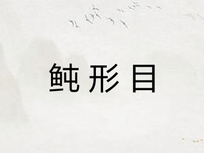 鲀形目