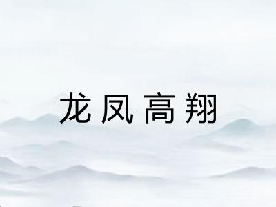 龙凤高翔