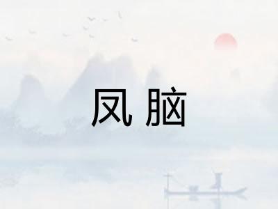 凤脑