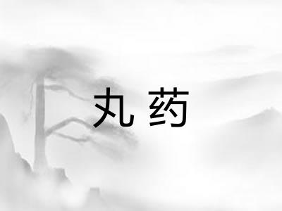 丸药