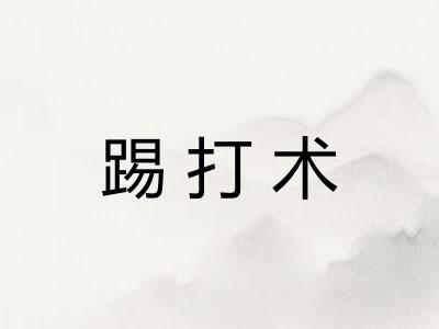 踢打术
