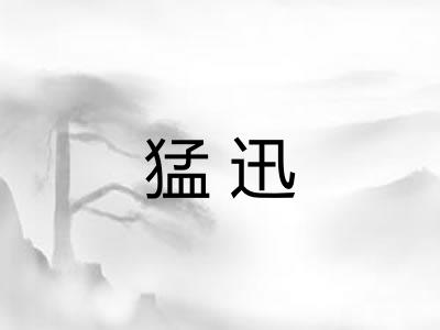 猛迅