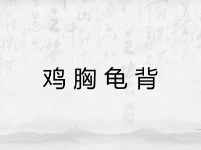 鸡胸龟背