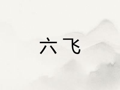六飞