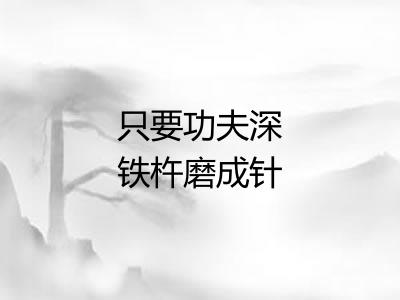 只要功夫深铁杵磨成针