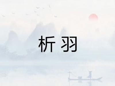 析羽