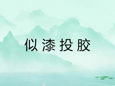 似漆投胶