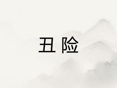 丑险