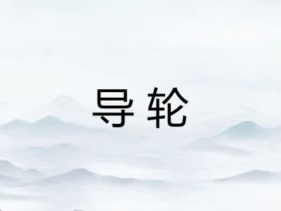 导轮