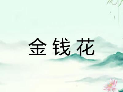 金钱花