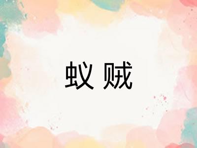 蚁贼