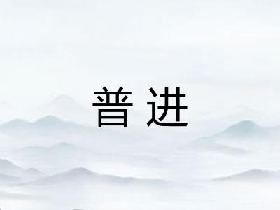 普进