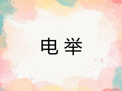 电举