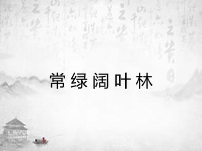 常绿阔叶林