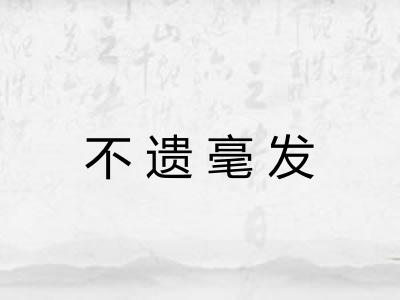 不遗毫发