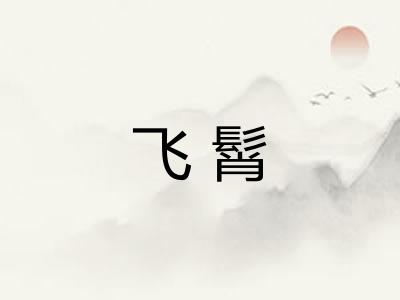 飞髾