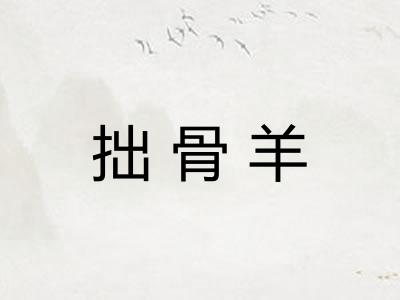 拙骨羊