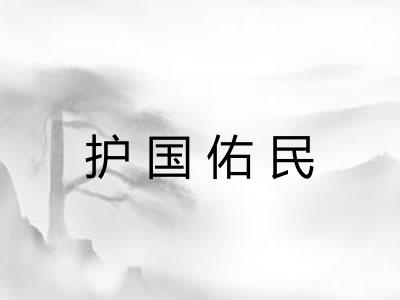 护国佑民