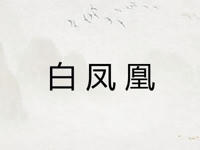 白凤凰
