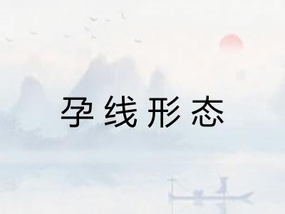 孕线形态