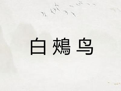 白鵊鸟