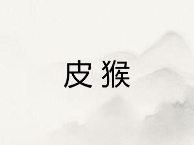 皮猴