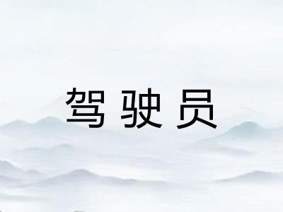 驾驶员