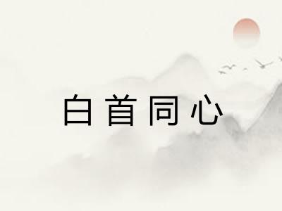 白首同心