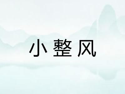 小整风
