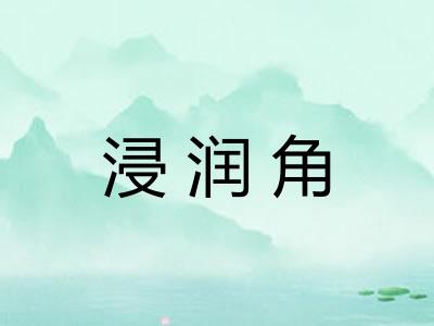 浸润角