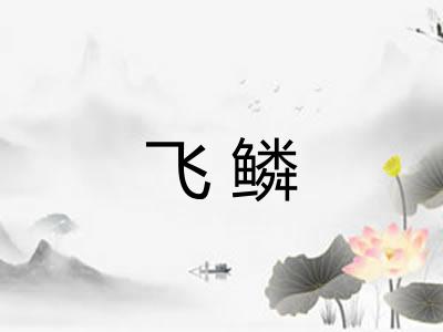 飞鳞
