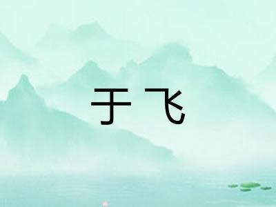 于飞