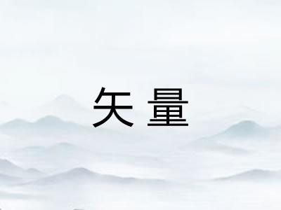 矢量
