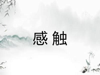 感触