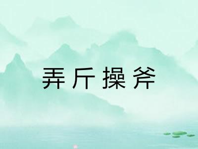 弄斤操斧
