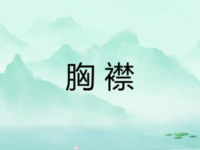胸襟