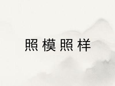 照模照样