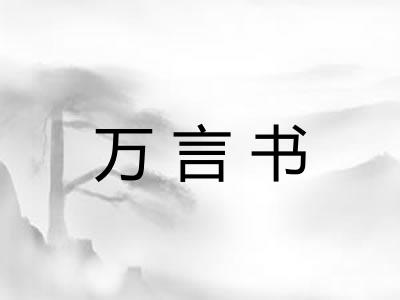 万言书