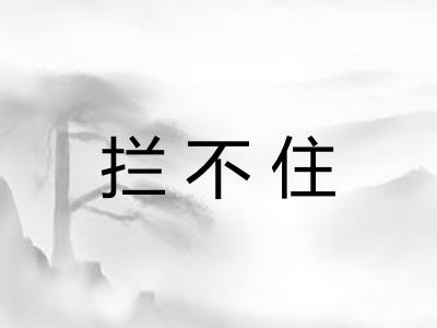 拦不住